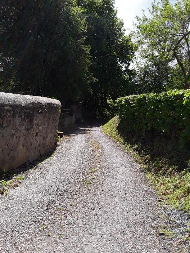 La Petite Bardouillere Villa Courdemanche  Eksteriør billede