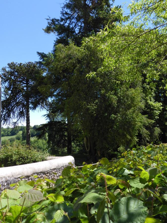 La Petite Bardouillere Villa Courdemanche  Eksteriør billede