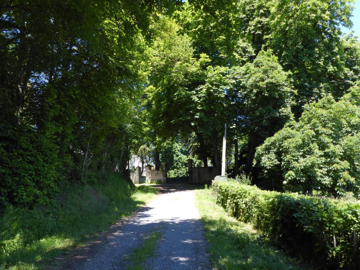 La Petite Bardouillere Villa Courdemanche  Eksteriør billede