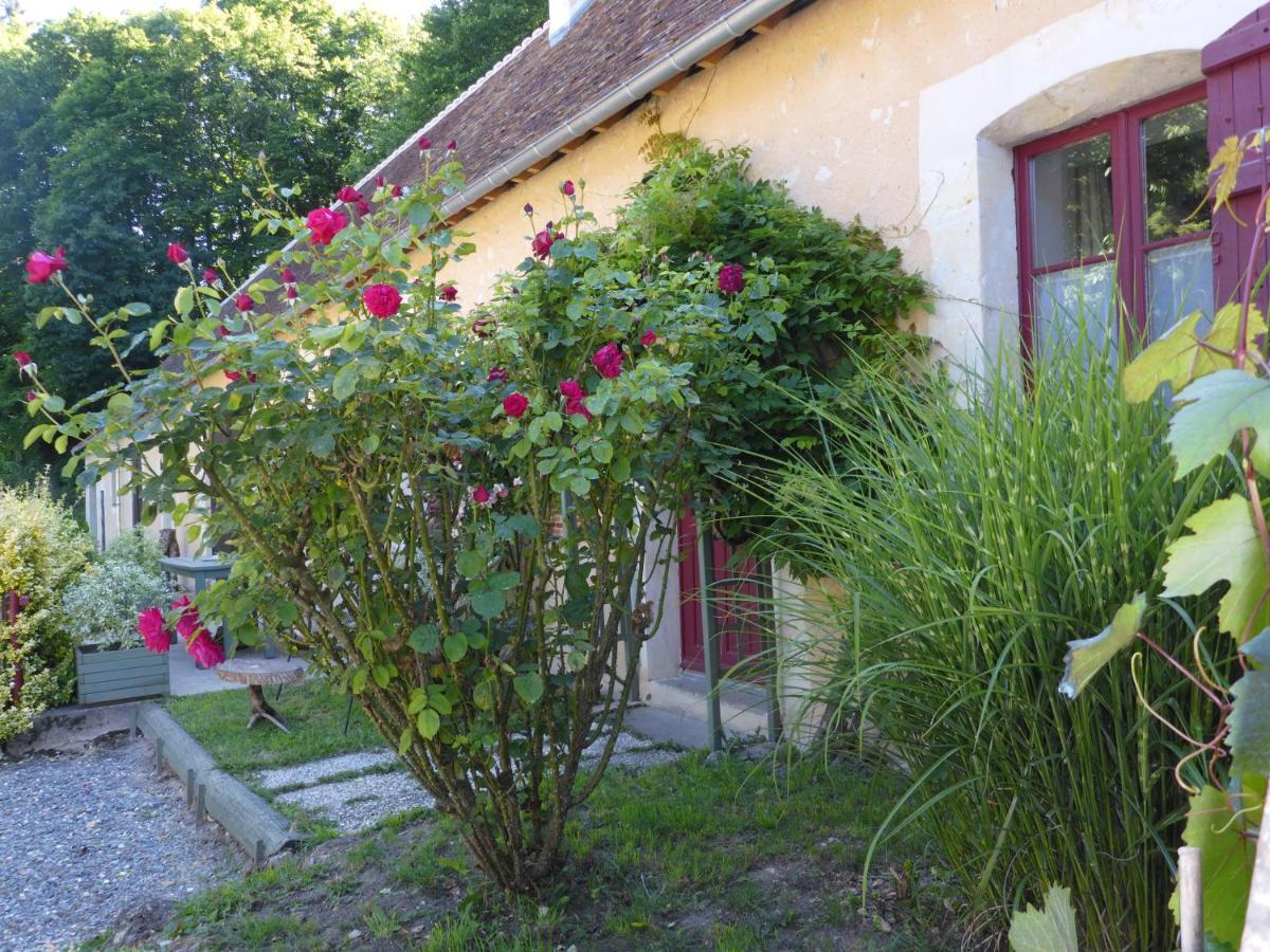 La Petite Bardouillere Villa Courdemanche  Eksteriør billede